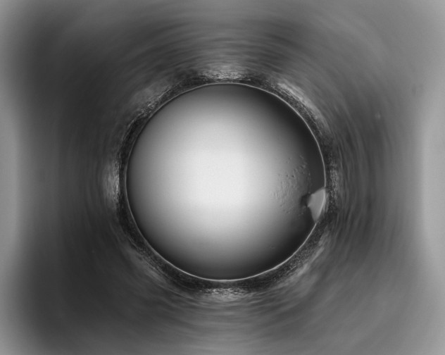 X0000096190541200801181323