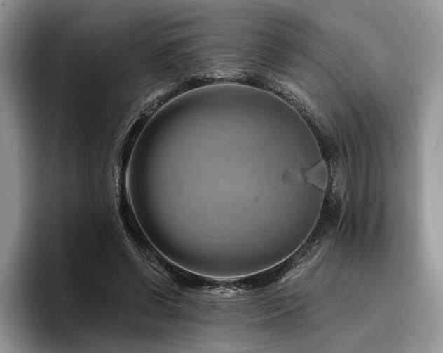 X0000096190542200801181323