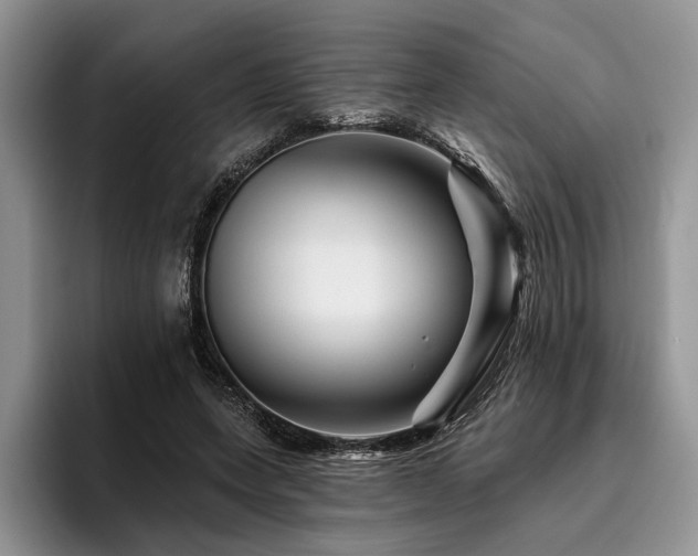 X0000096190543200801181323