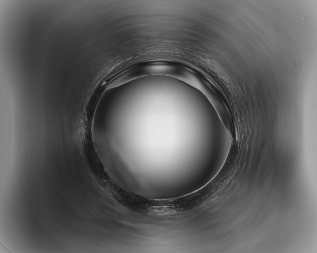 X0000096190544200801181323