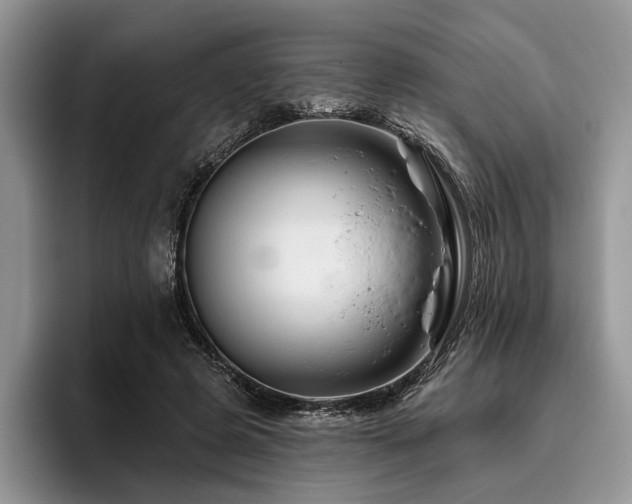 X0000096190545200801181323