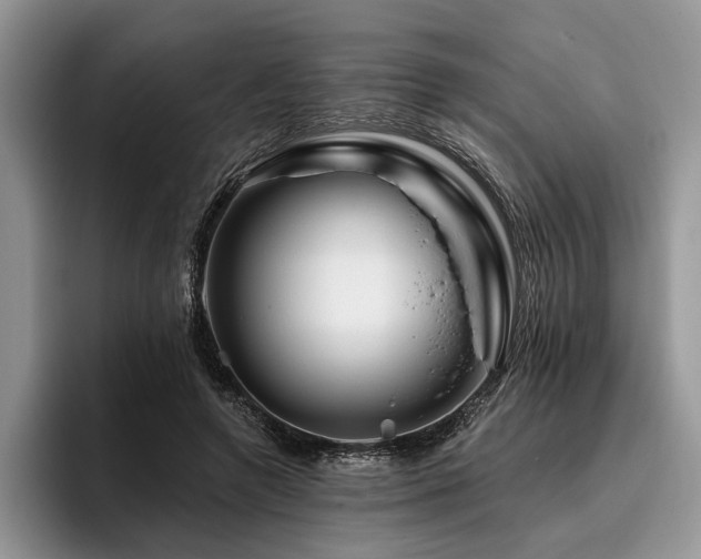 X0000096190546200801181323