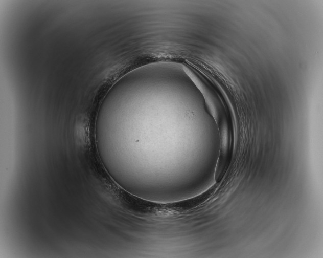 X0000096190547200801181323