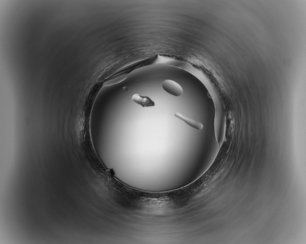 X0000096190548200801181323
