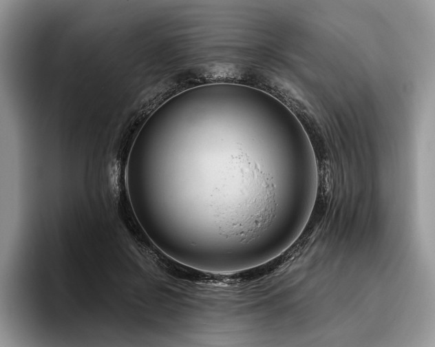X0000096190550200801181323