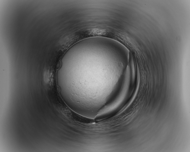 X0000096190551200801181323