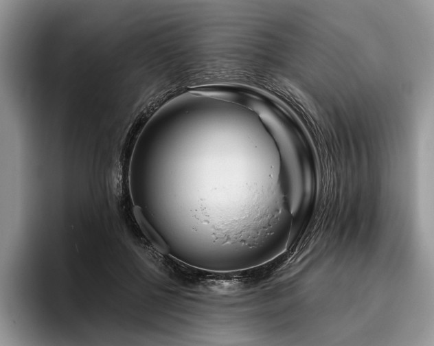 X0000096190552200801181323