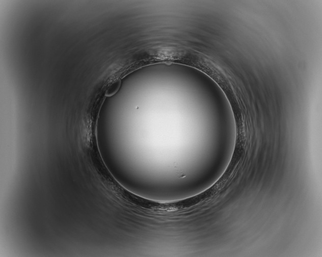 X0000096190554200801181323