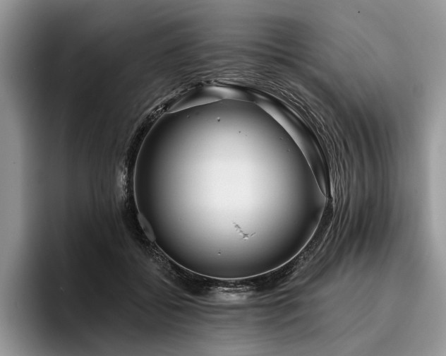 X0000096190556200801181323