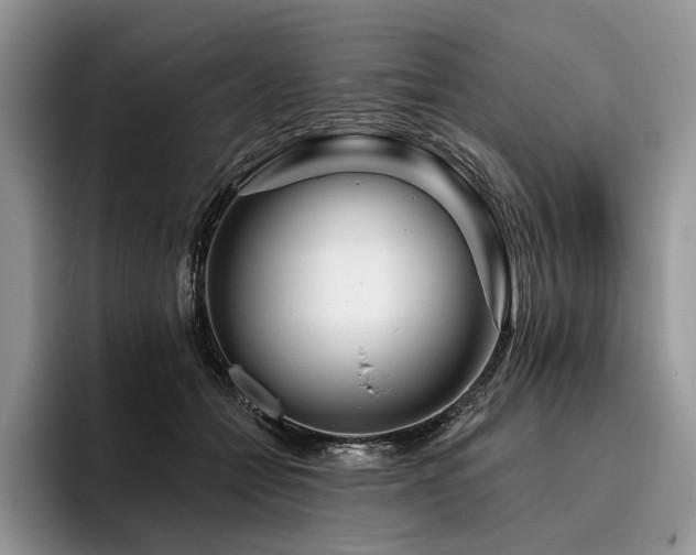 X0000096190558200801181323