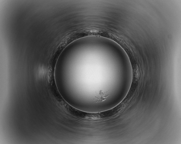 X0000096190559200801181323