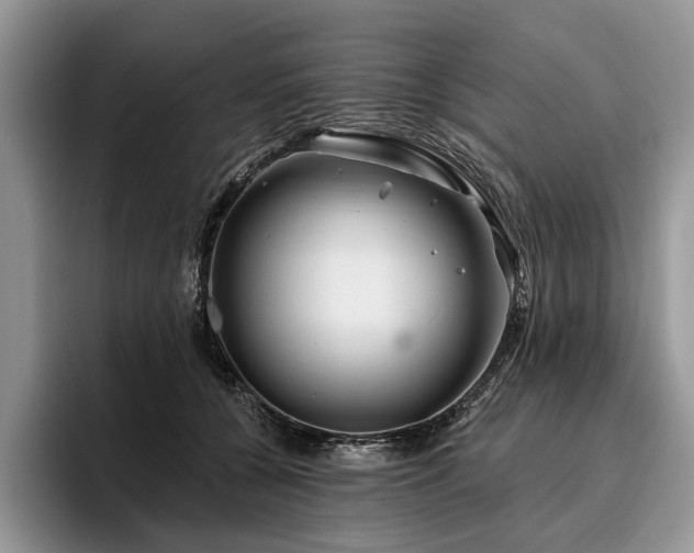 X0000096190560200801181323