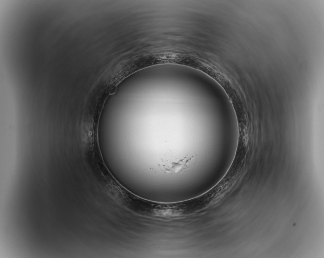 X0000096190561200801181323