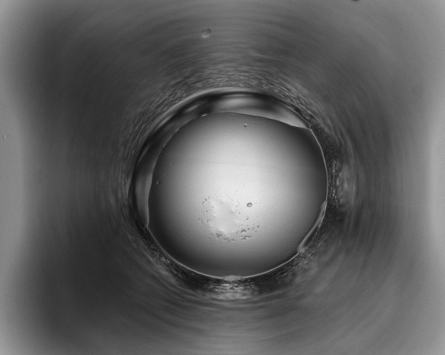 X0000096190562200801181323
