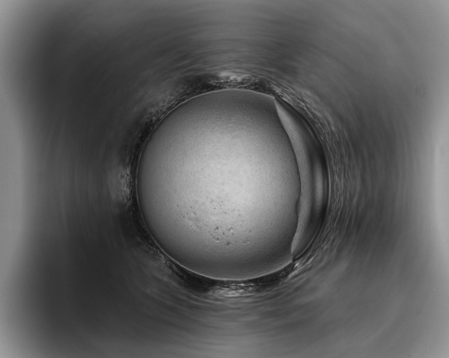 X0000096190563200801181323