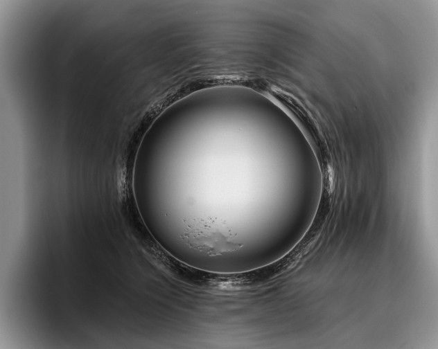 X0000096190564200801181323