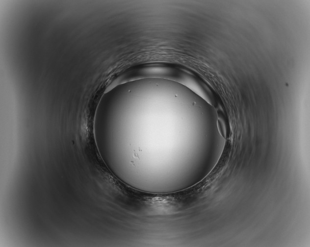 X0000096190566200801181323
