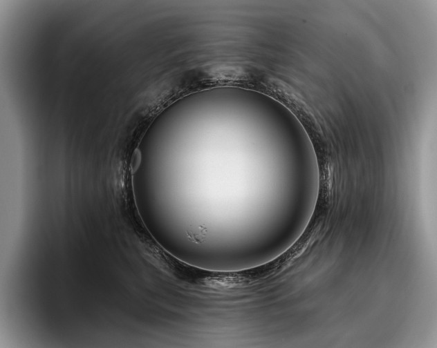 X0000096190567200801181323