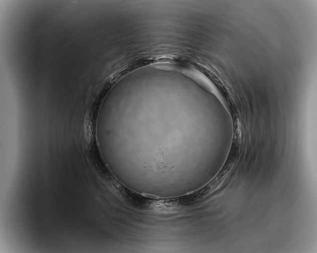 X0000096190568200801181323