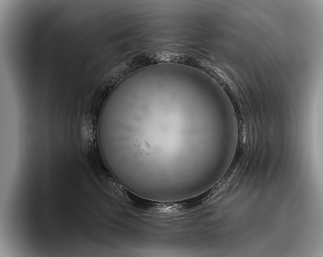 X0000096190569200801181323