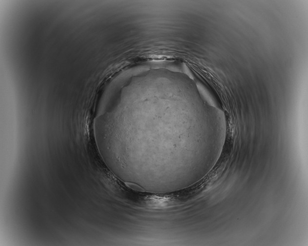 X0000096190570200801181323