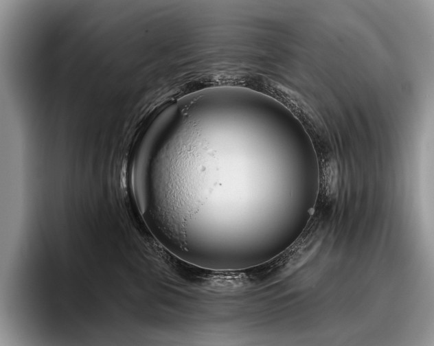 X0000096190571200801181323