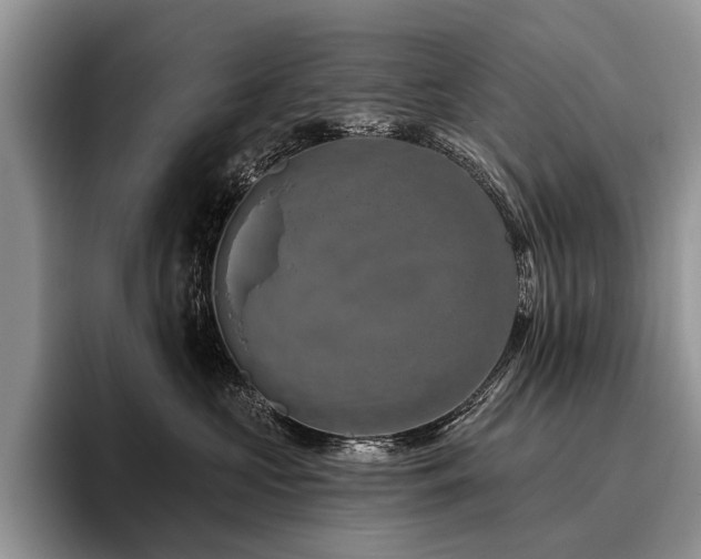 X0000096190573200801181323