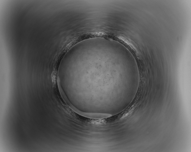 X0000096190576200801181323