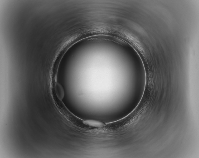X0000096190578200801181323
