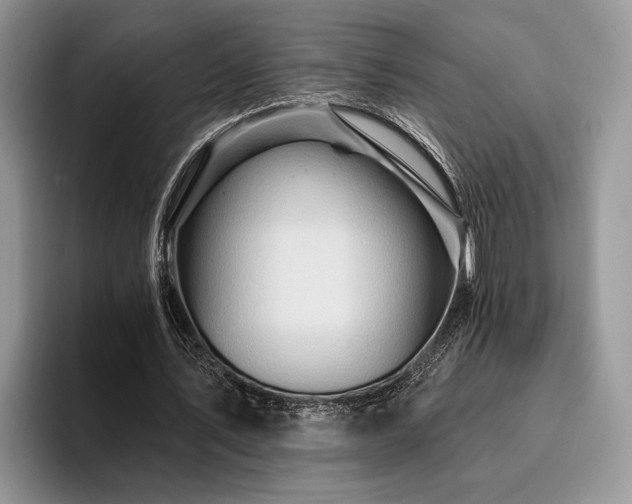 X0000096190579200801181323
