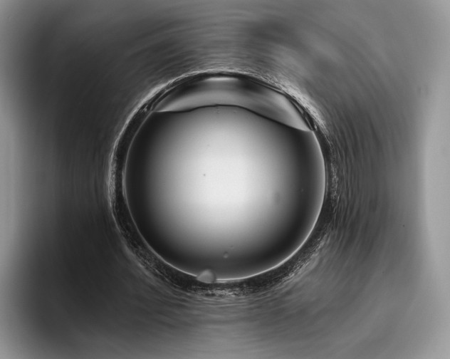 X0000096190580200801181323
