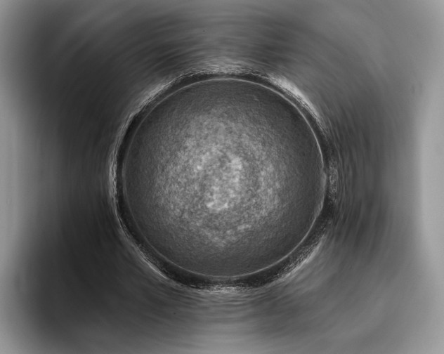 X0000096190581200801181323