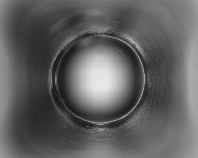 X0000096190582200801181323