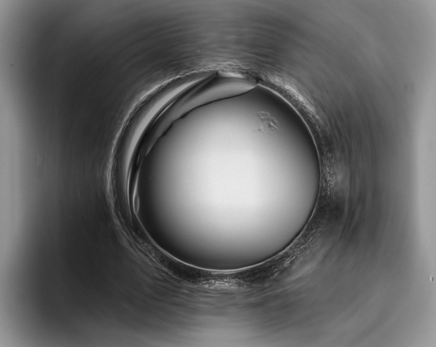 X0000096190583200801181323