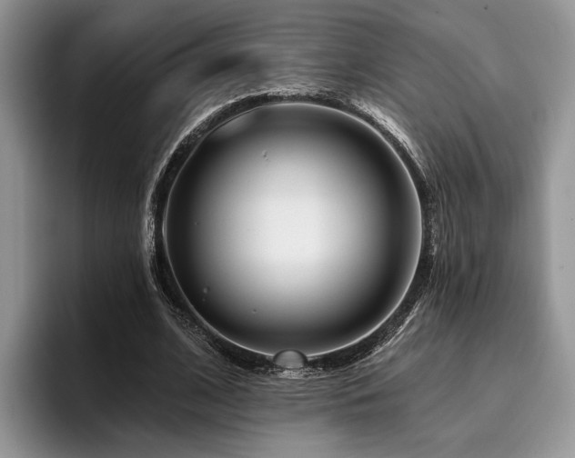 X0000096190584200801181323