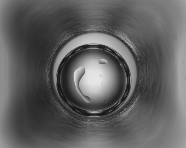 X0000096190585200801181322