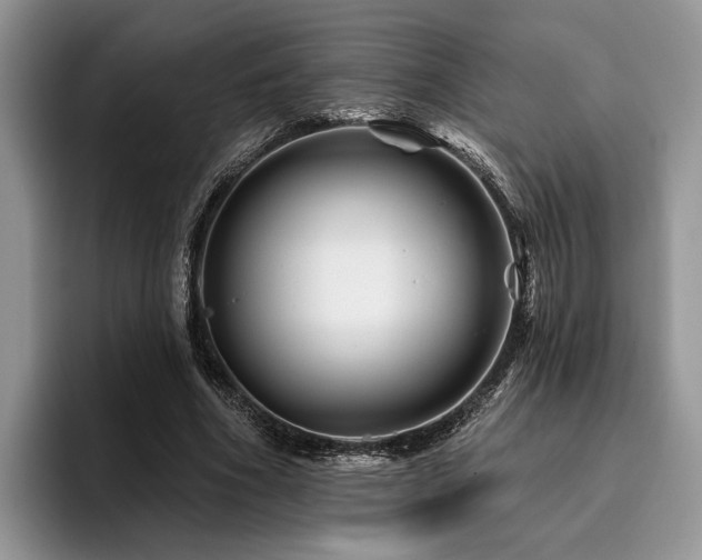 X0000096190586200801181322