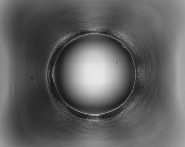 X0000096190587200801181322
