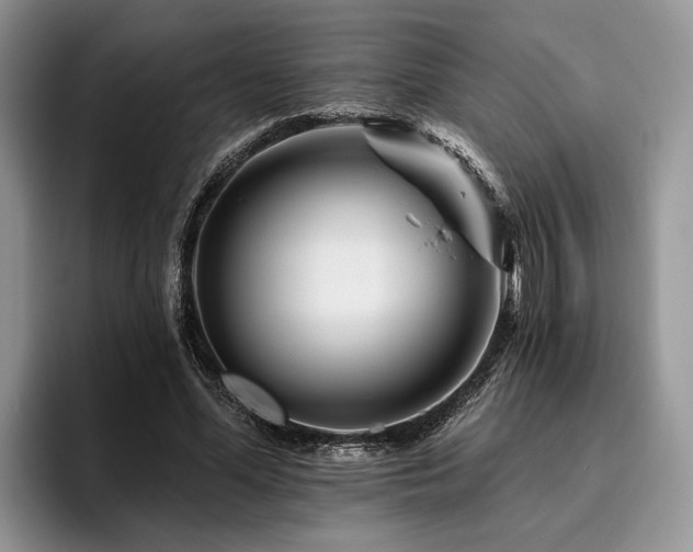 X0000096190588200801181322