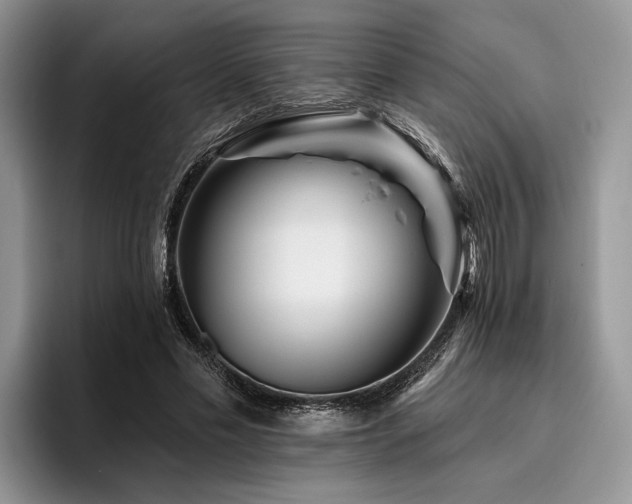 X0000096190589200801181322