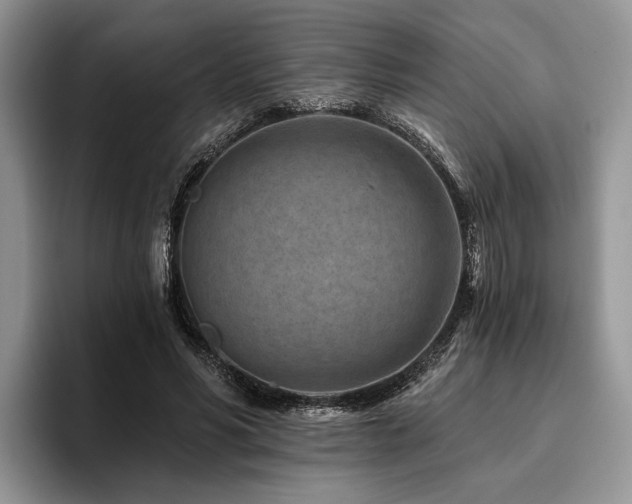 X0000096190590200801181322