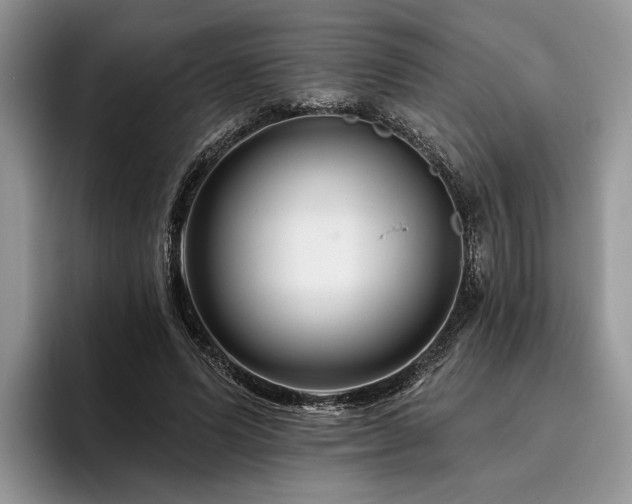 X0000096190591200801181322