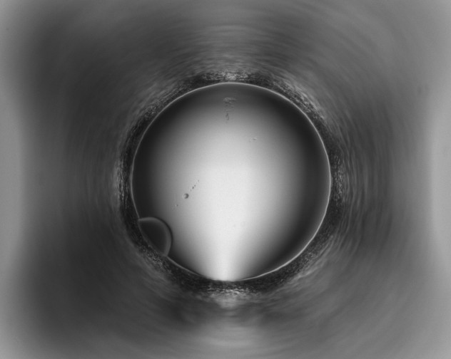 X0000096190594200801181322