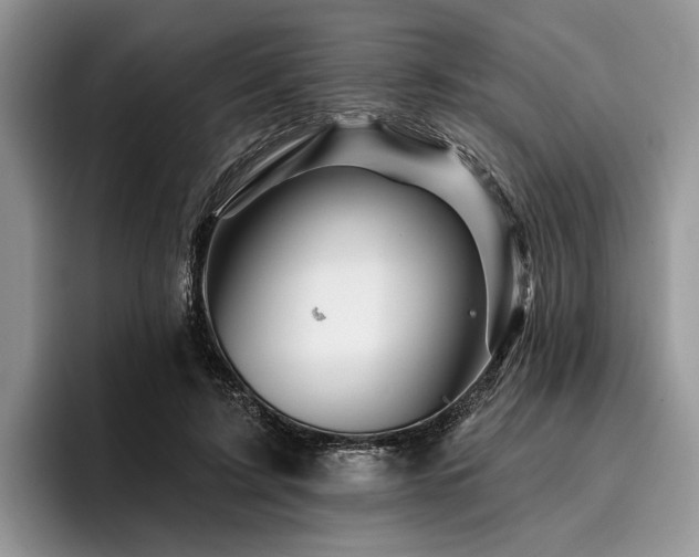 X0000096190595200801181322