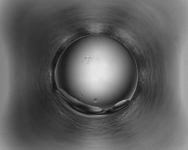 X0000096190596200801181322