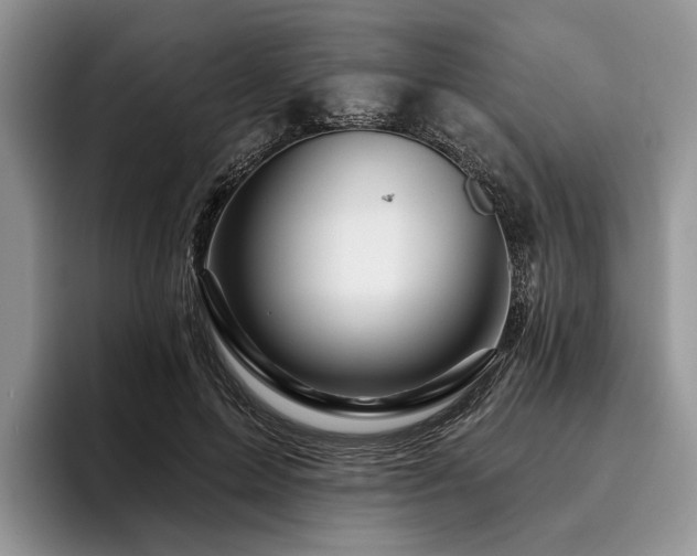 X0000096190599200801181322