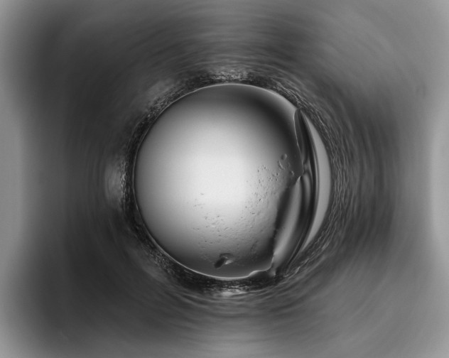 X0000096190600200801181322