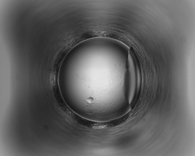 X0000096190602200801181322