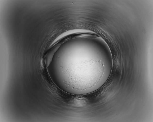 X0000096190603200801181322