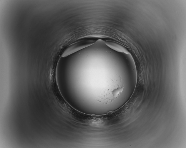 X0000096190604200801181322